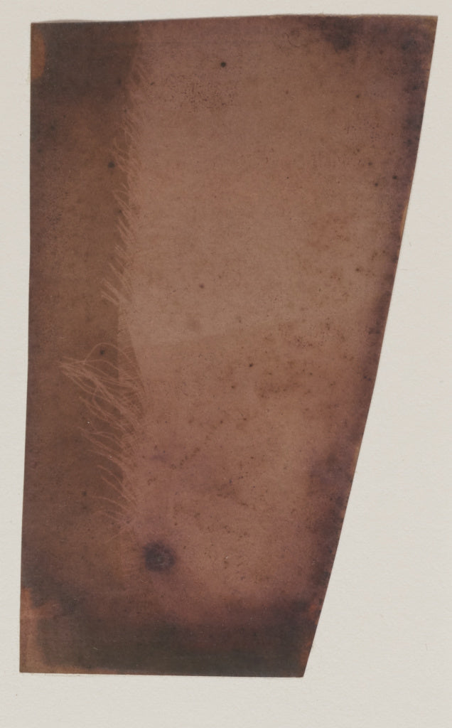 William Henry Fox Talbot:[Linen], Poster Print Wall Art