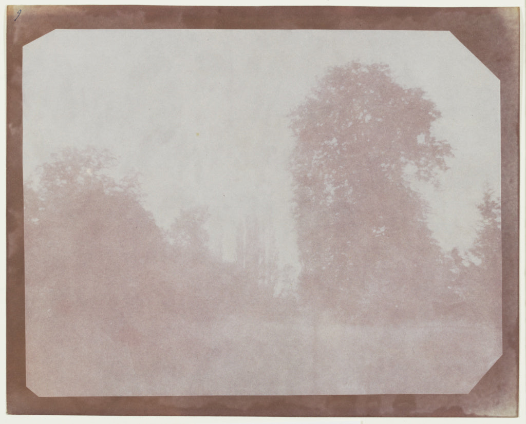 William Henry Fox Talbot:[Group of Trees from the American W,16x12"(A3)Poster