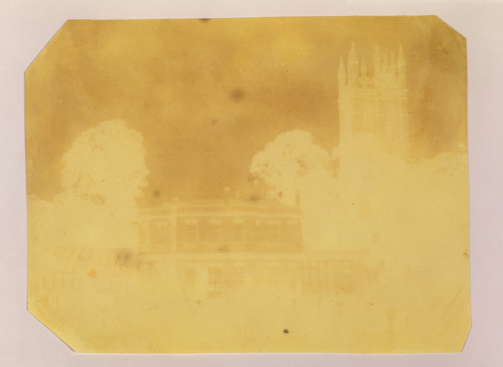 William Henry Fox Talbot:[Botanical Garden, Oxford], Poster Print Wall Art