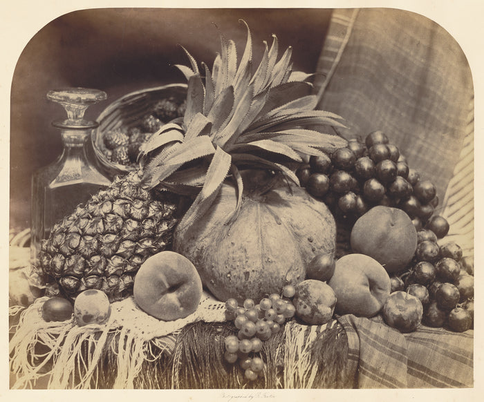 Roger Fenton:[Still Life with Fruit and Decanter],16x12