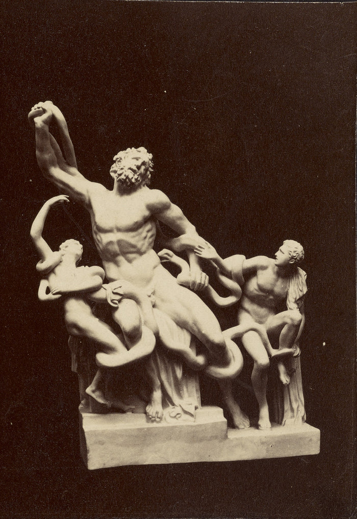 Unknown:[Statue of Laocoön and His Sons],16x12