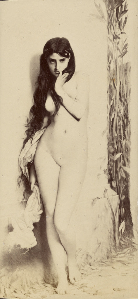 Unknown:[La Cigale by Jules Joseph Lefebvre], Poster Print Wall Art