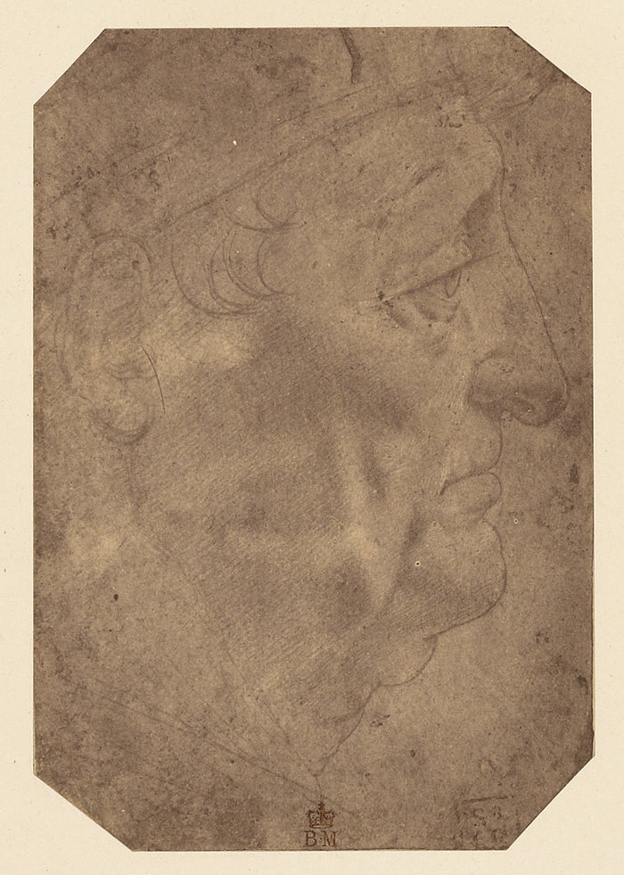 Roger Fenton:[Drawing of a Man's Head by Leonardo da Vinci],16x12