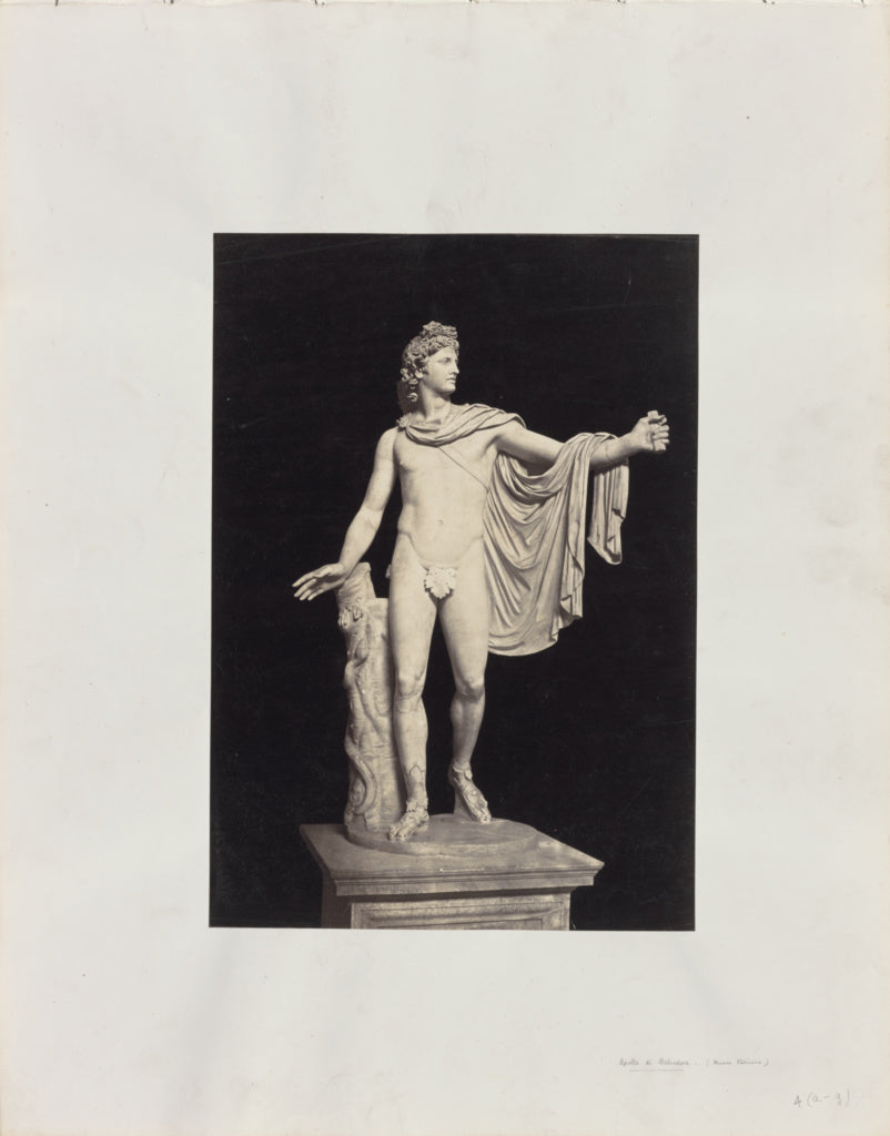 Unknown:[The Belvedere Apollo], Poster Print Wall Art