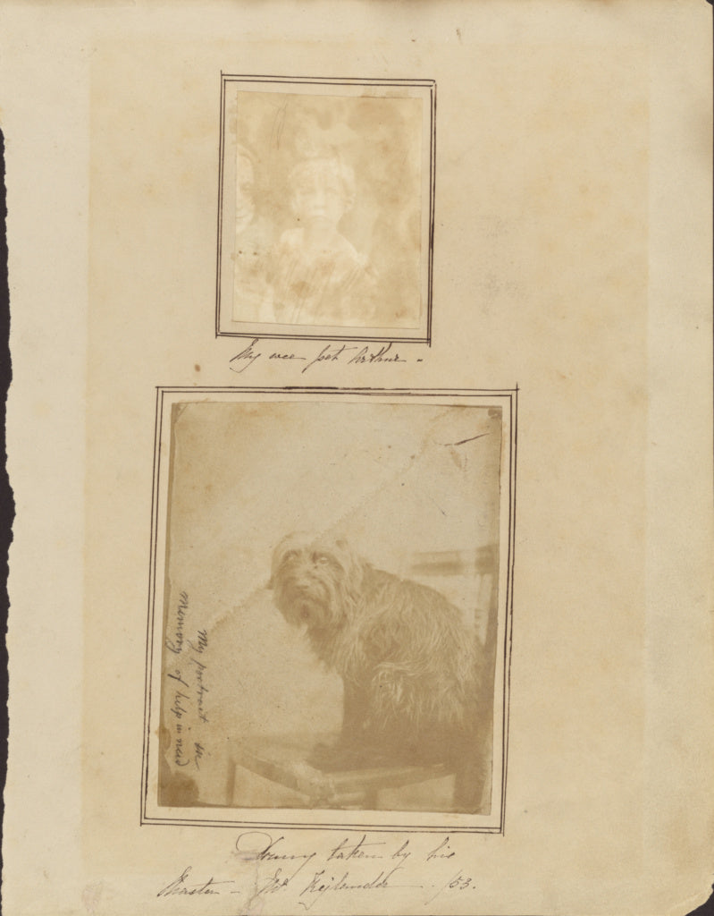 Oscar Gustave Rejlander:[Portrait of Rejlander's Dog], Poster Print Wall Art