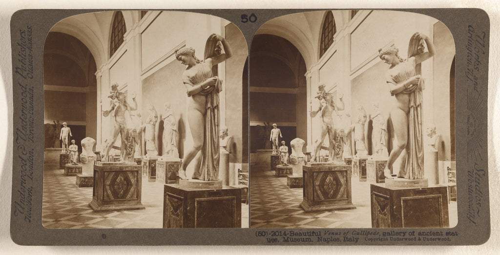Underwood & Underwood:Beautiful Venus of Gallipede, gallery , Poster Print Wall Art