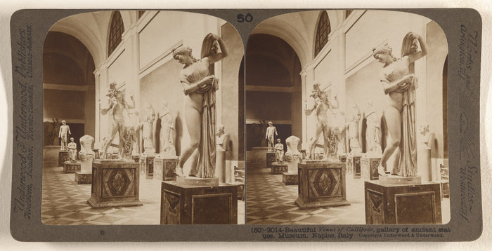 Underwood & Underwood:Beautiful Venus of Gallipede, gallery ,16x12