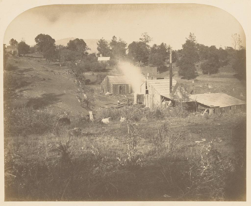 Carleton Watkins:[Turner's Mill], Poster Print Wall Art