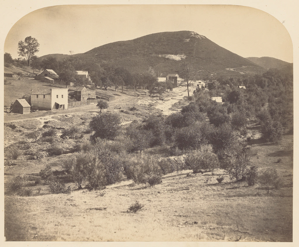 Carleton Watkins:Mount Ophir, Looking South,16x12"(A3)Poster