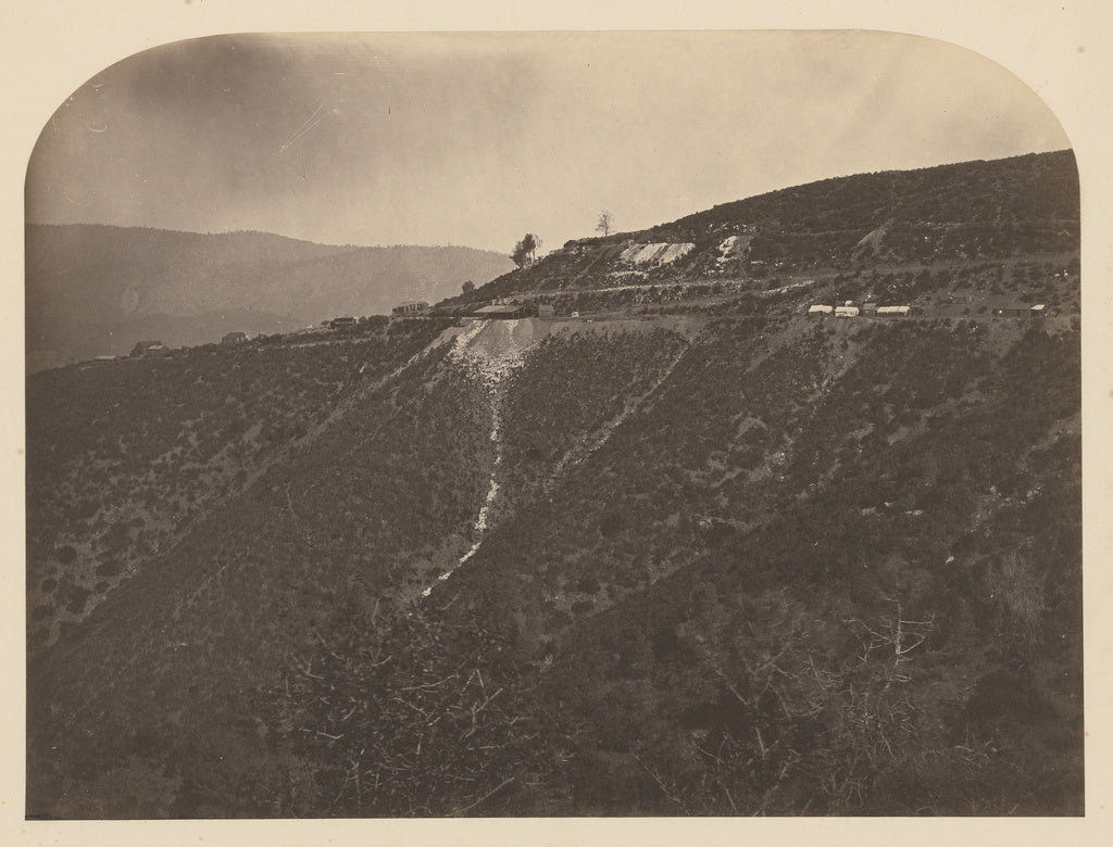 Carleton Watkins:[Pine Tree Mine],16x12"(A3)Poster