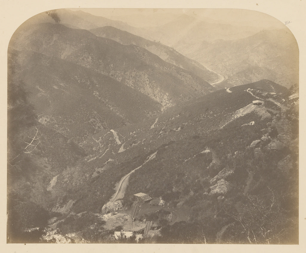 Carleton Watkins:[Josephine and Pine Tree], Poster Print Wall Art