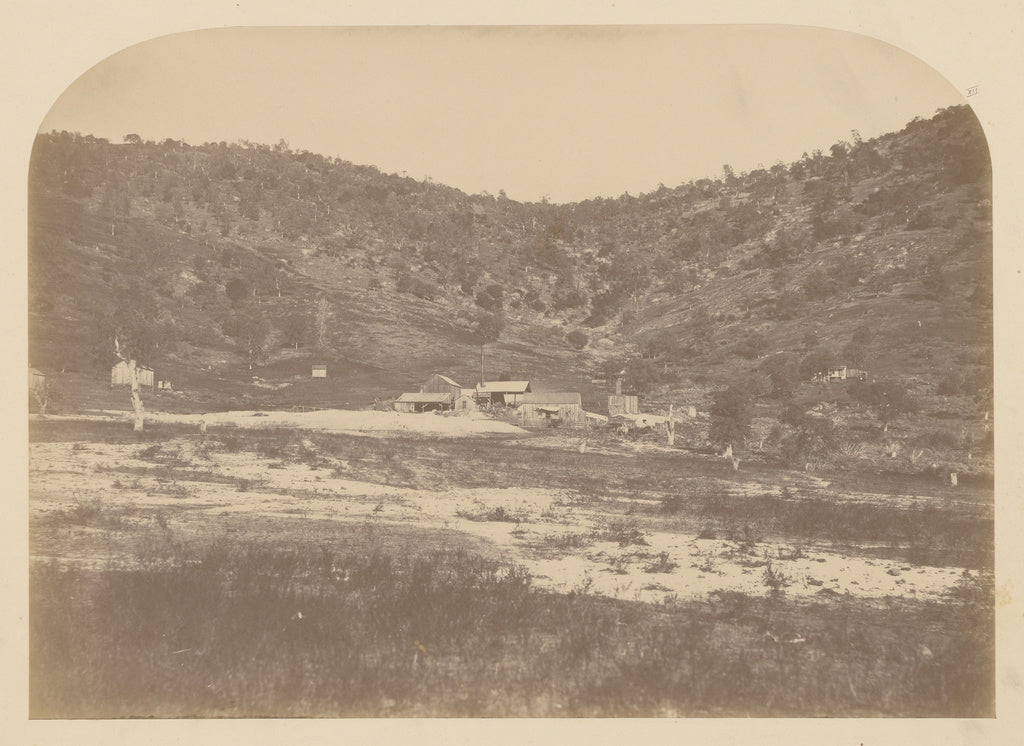 Carleton Watkins:[Bear Valley Mill], Poster Print Wall Art