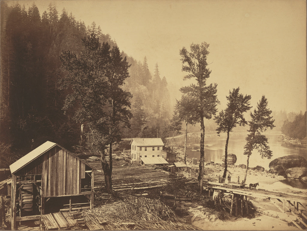 Carleton Watkins:[Eagle Creek, Columbia River], Poster Print Wall Art