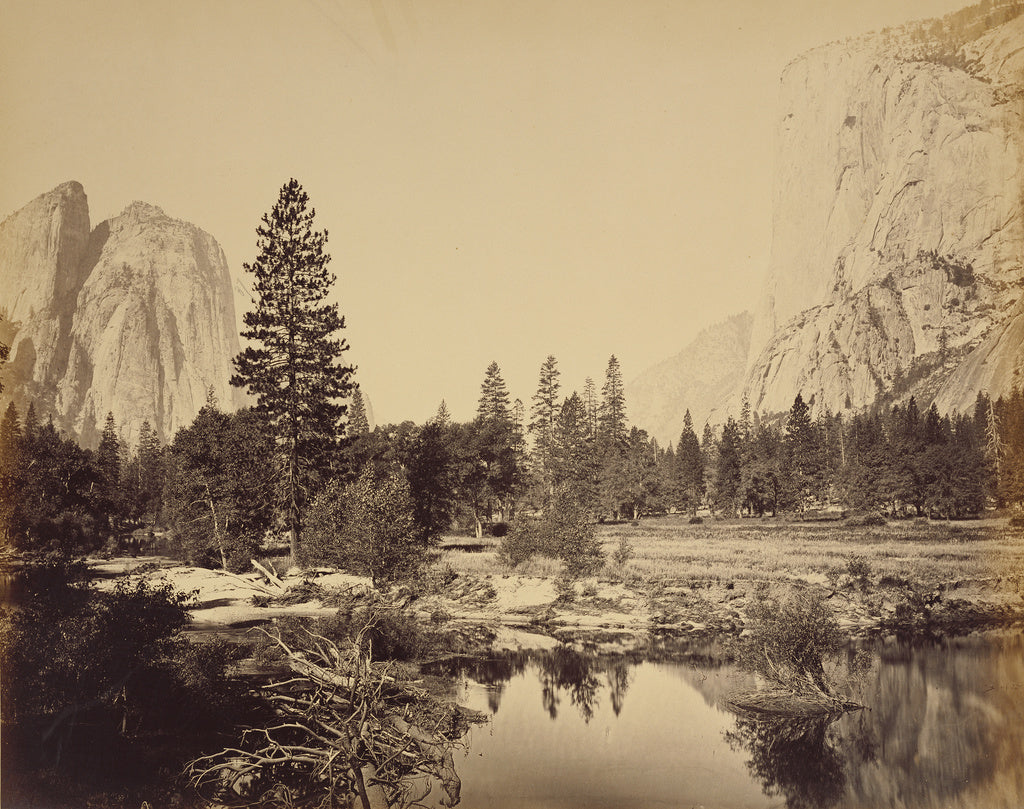 Carleton Watkins:[Down the Valley], Poster Print Wall Art