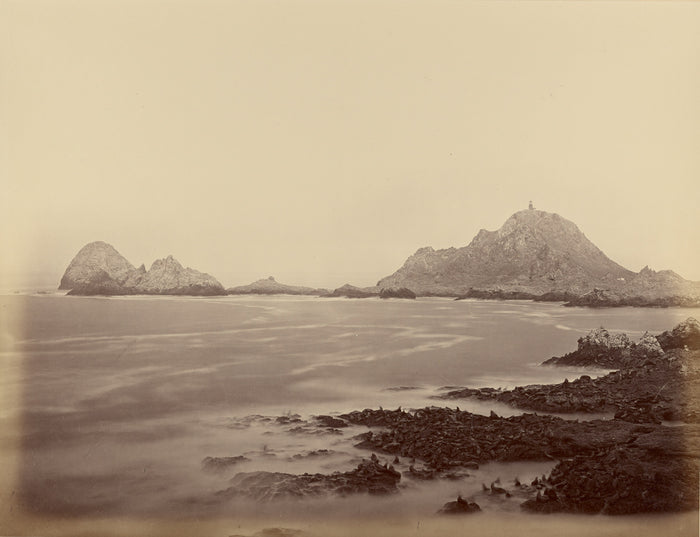Carleton Watkins:[Seal Point from the West End, Farallons],16x12