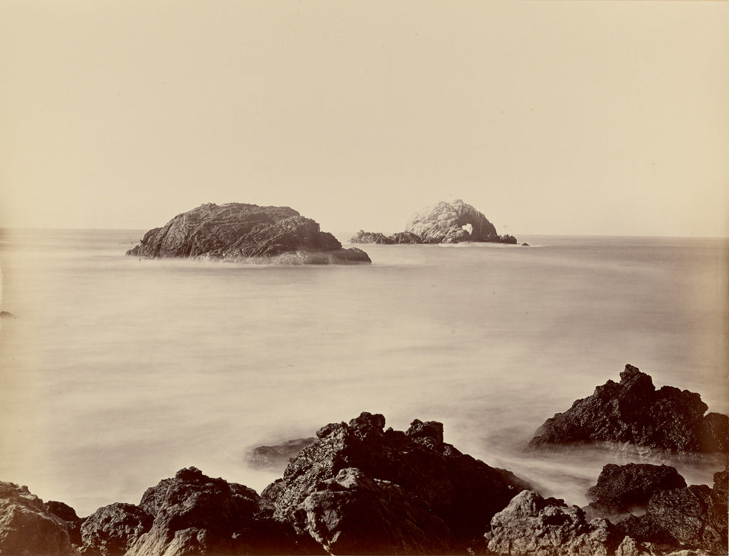 Carleton Watkins:[Seal Rocks from the Point], Poster Print Wall Art