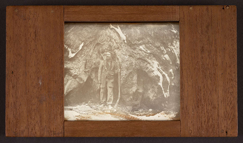 Carleton Watkins:Mariposa Grove. Galen Clark. / Portrait of ,16x12"(A3)Poster