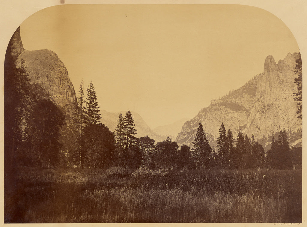 Carleton Watkins:[Yosemite, View on Valley Floor, with Senti,16x12"(A3)Poster