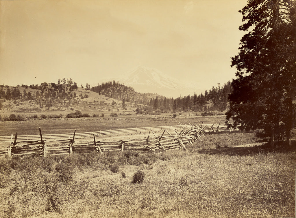 Carleton Watkins:[View of Mt. Shasta],16x12"(A3)Poster