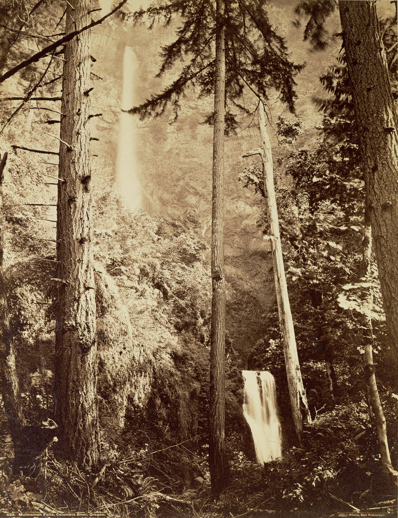 Carleton Watkins:Multnomah Falls, Columbia River, Oregon / [, Poster Print Wall Art