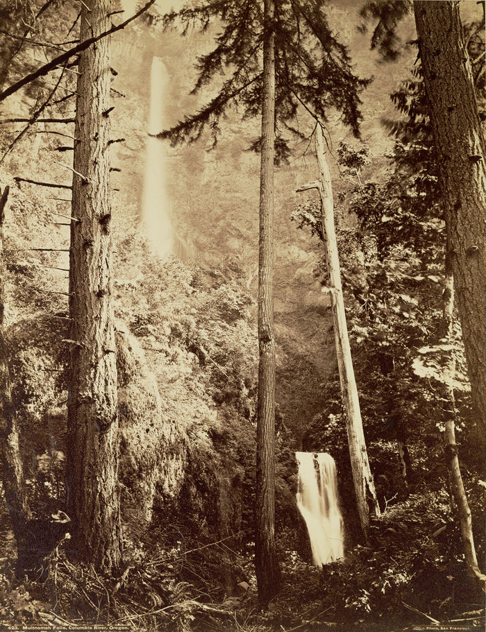 Carleton Watkins:Multnomah Falls, Columbia River, Oregon / [,16x12