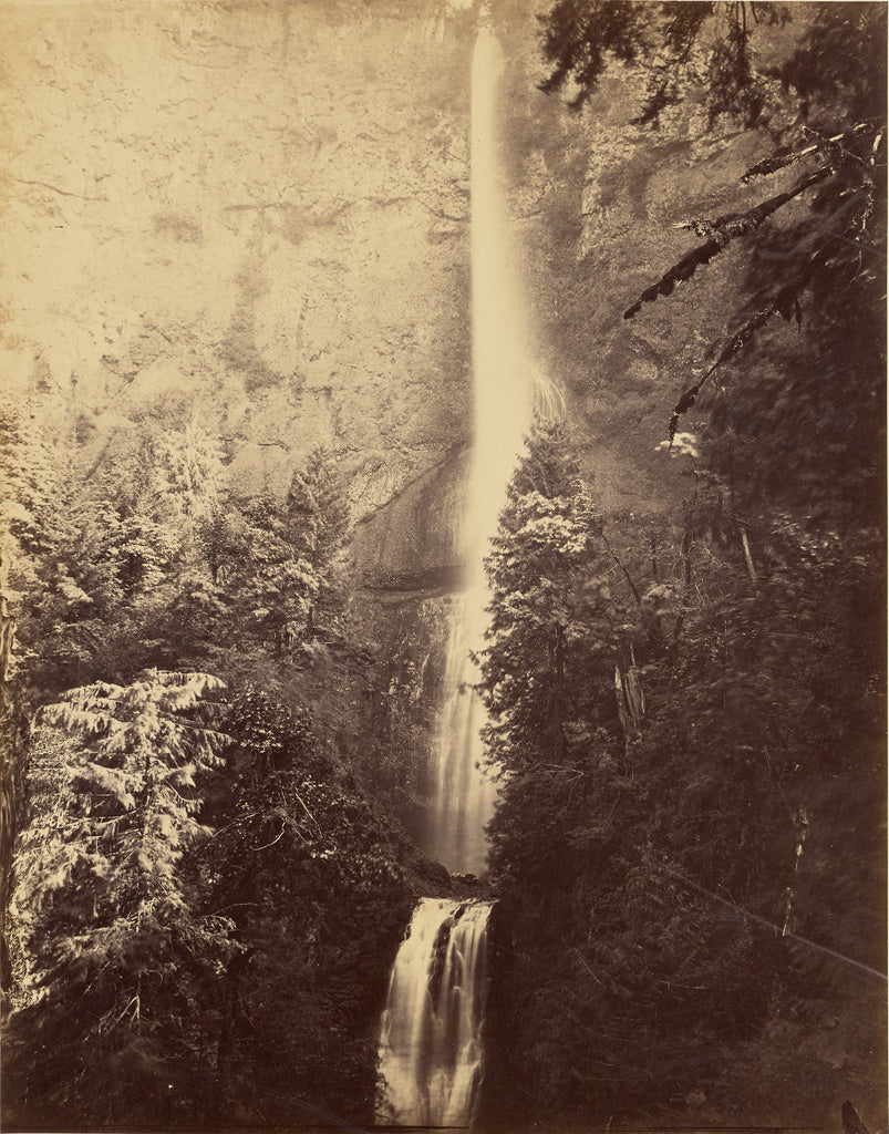 Carleton Watkins:[Cascades, Multnomah Falls], Poster Print Wall Art