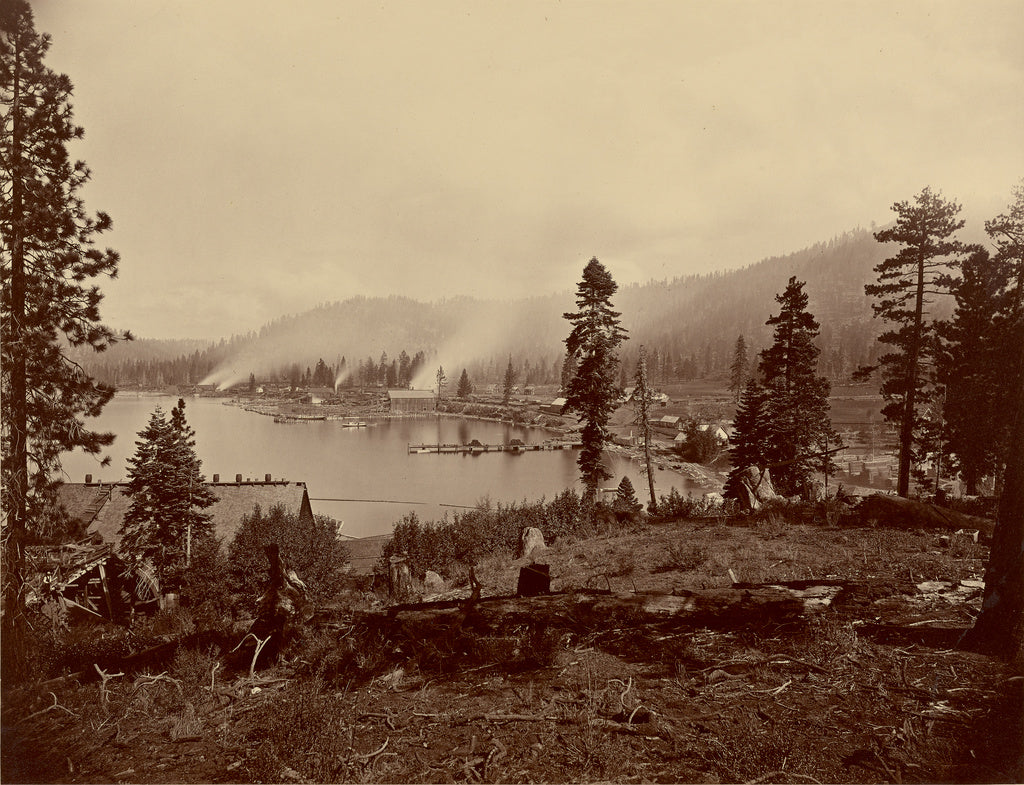 Carleton Watkins:View of Gleenbrook [sic] Bay, Lake Tahoe, S, Poster Print Wall Art