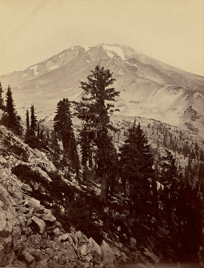 Carleton Watkins:[Williamsonii, Mt. Shasta],16x12