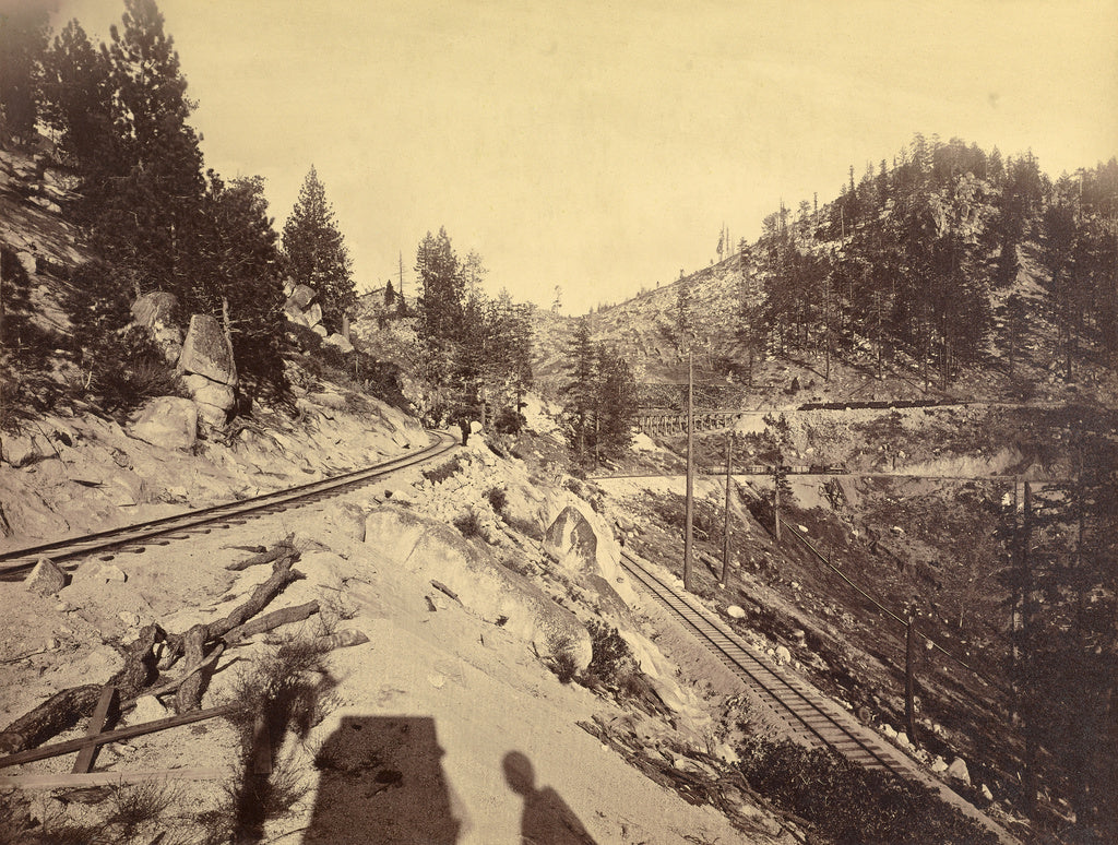 Carleton Watkins:View on Lake Tahoe, Poster Print Wall Art