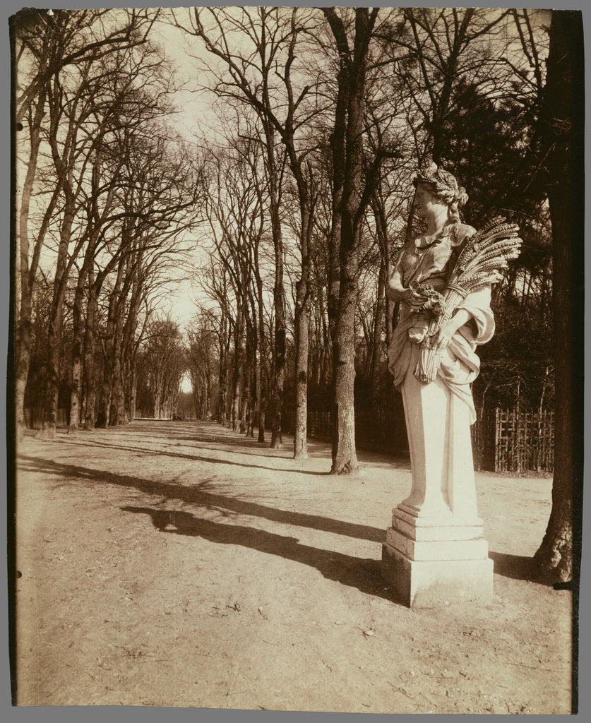 Eugène Atget:Versailles-Parc (The Park, Versailles), Poster Print Wall Art