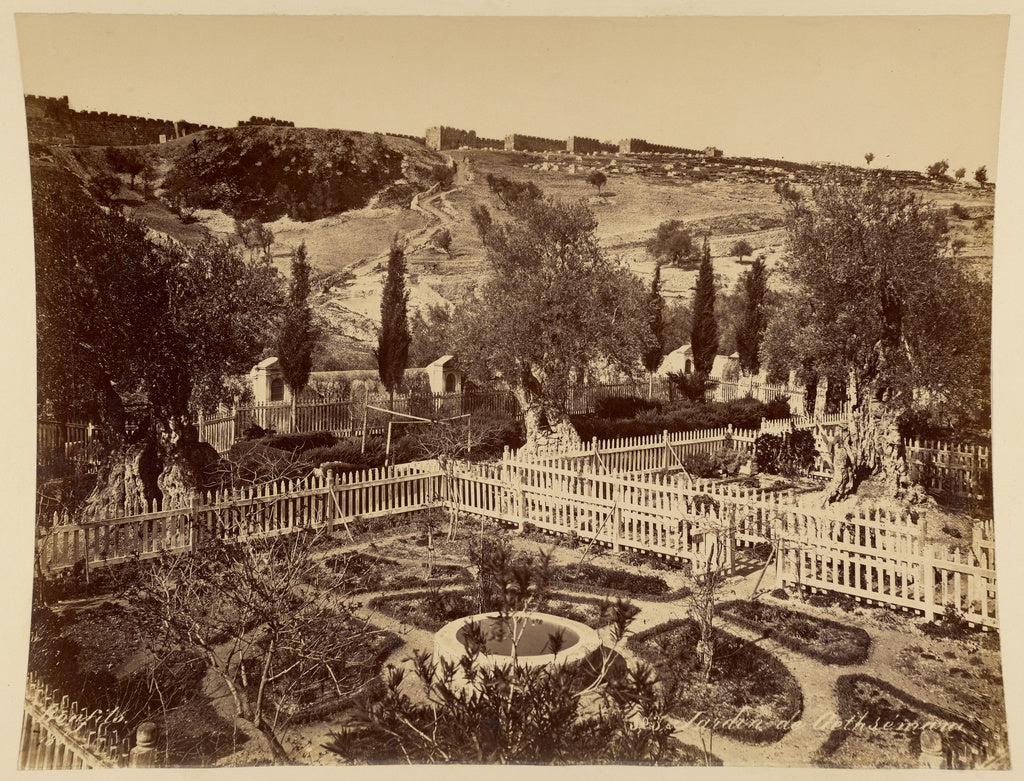 Félix Bonfils:Jardin de Gethséman, Poster Print Wall Art