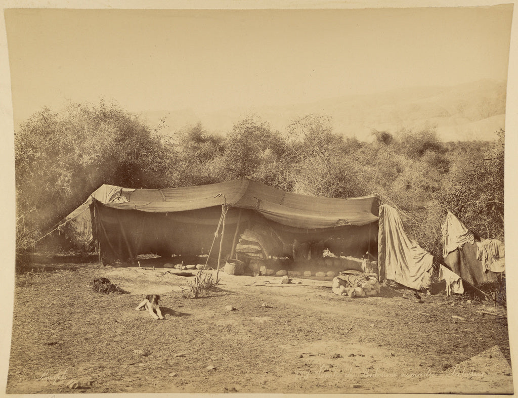 Félix Bonfils:Tente de Bédouins nomades, Palestine, Poster Print Wall Art