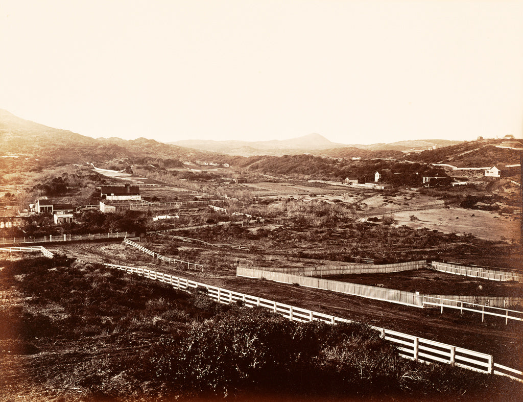 Carleton Watkins:[Lone Mountain, from the Orphan Asylum],16x12"(A3)Poster