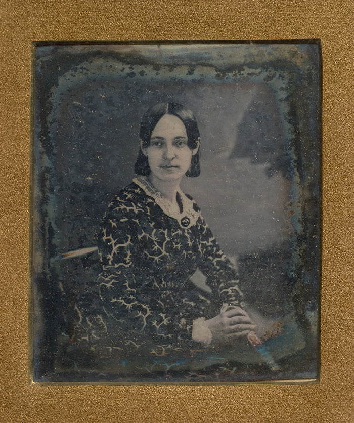 John Plumbe Jr.:[Portrait of a Seated Woman in Patterned Dre,16x12
