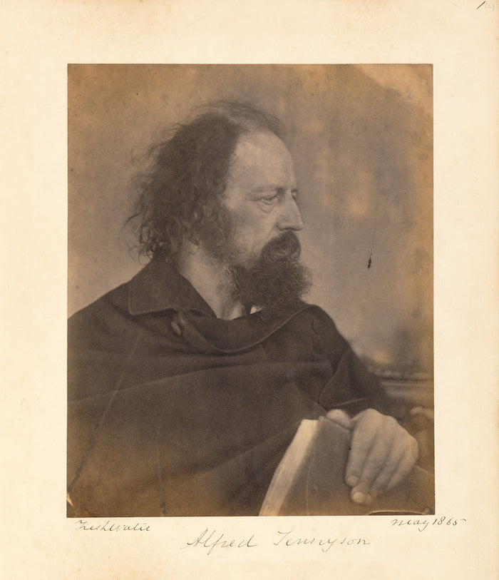 Julia Margaret Cameron:Alfred Tennyson,16x12