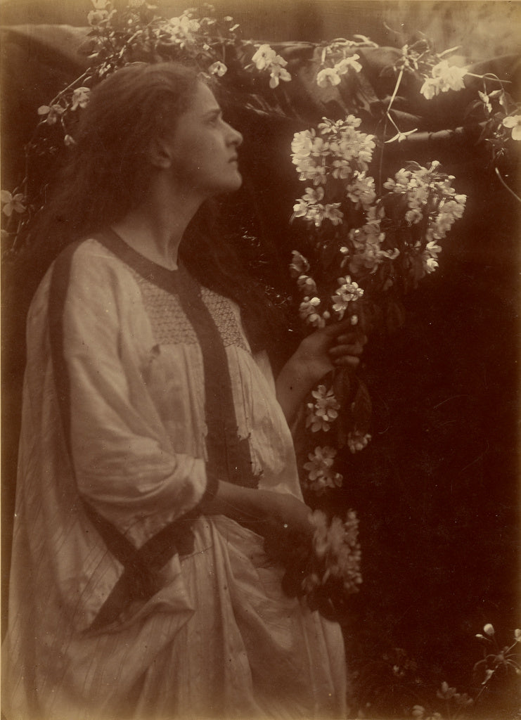 Julia Margaret Cameron:[Spring],16x12"(A3)Poster