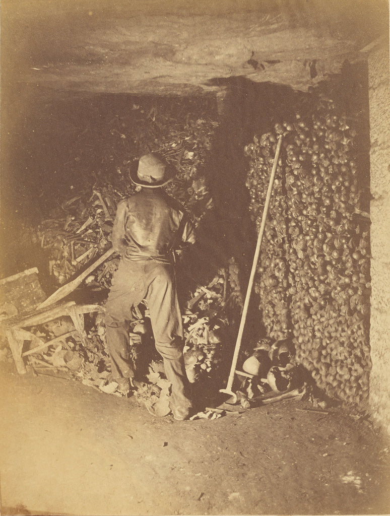 Nadar [Gaspard Félix Tournachon]:[The Reception of the Bone, Poster Print Wall Art