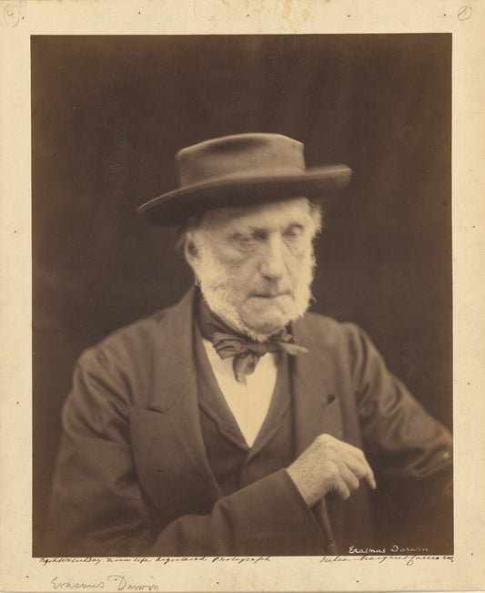 Julia Margaret Cameron:[Erasmus Darwin],16x12"(A3)Poster