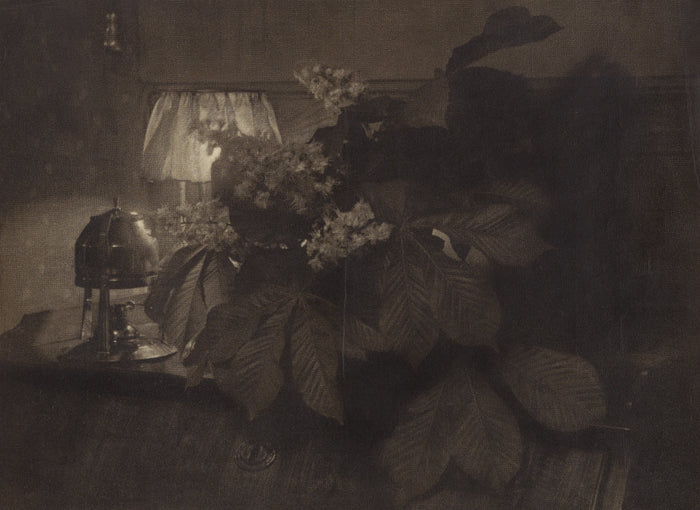 Heinrich Kühn:[Still Life with Horse Chestnut Flowers, Lamp,16x12