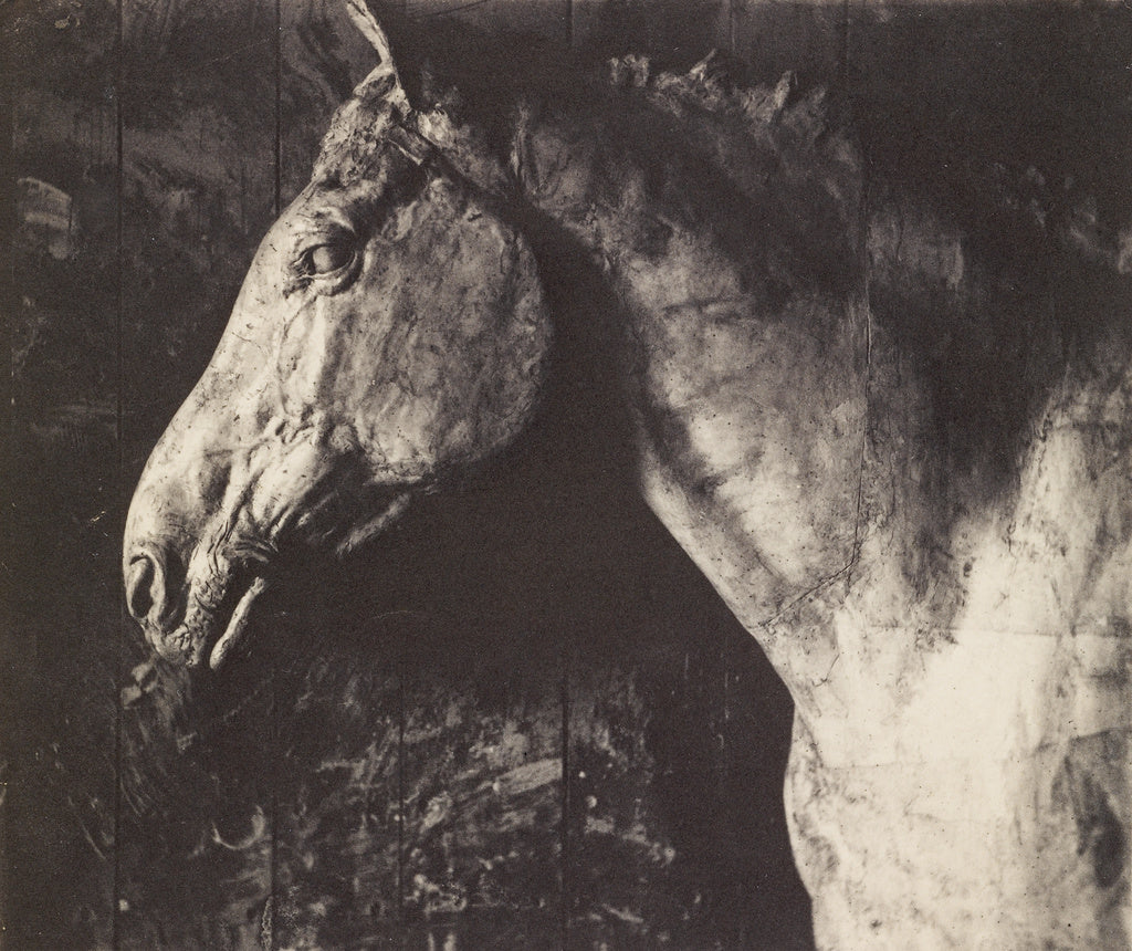 Thomas Eakins:[Plaster Model of Clinker for an Equestrian Re, Poster Print Wall Art