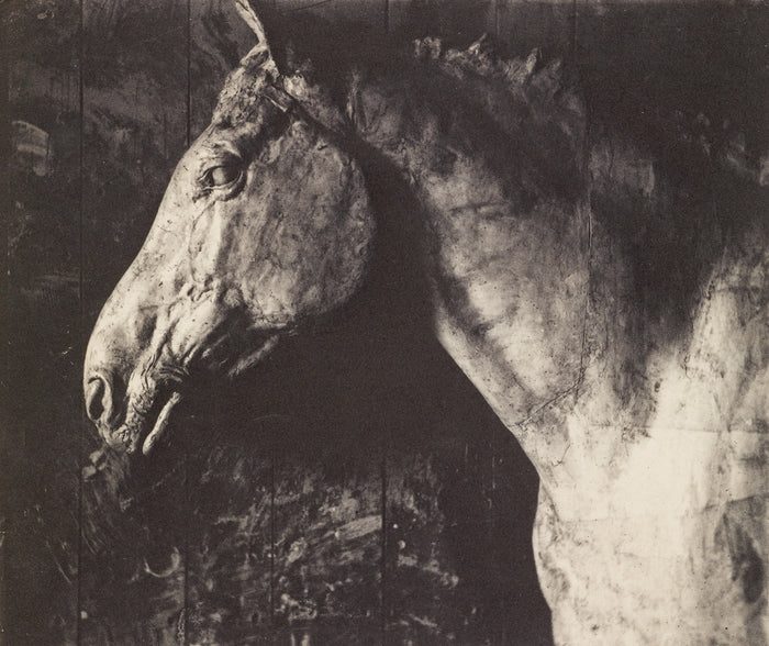 Thomas Eakins:[Plaster Model of Clinker for an Equestrian Re,16x12
