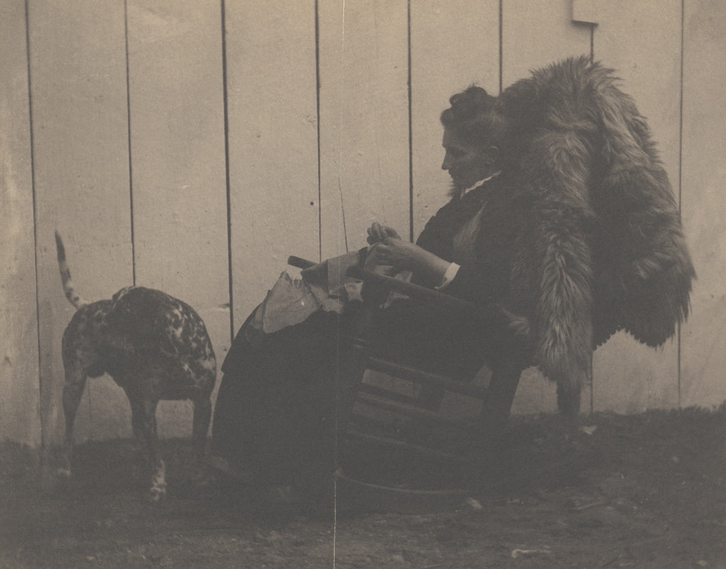 Thomas Eakins:[Mary Oakes Davis], Poster Print Wall Art