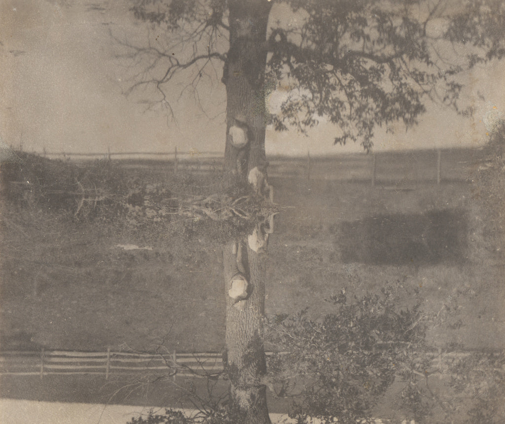 Thomas Eakins:[Crowell Children at Avondale, Pennsylvania],16x12"(A3)Poster