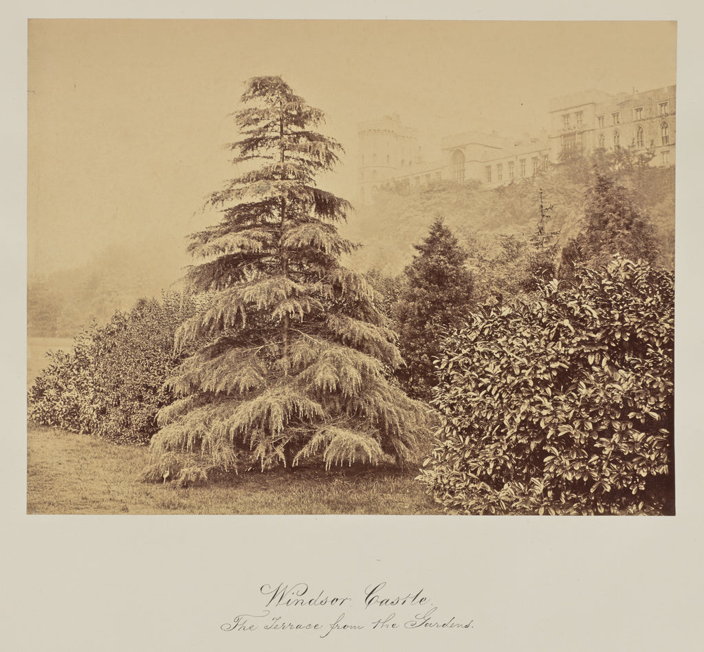 Arthur James Melhuish:Windsor Castle.  The Terrace from the , Poster Print Wall Art