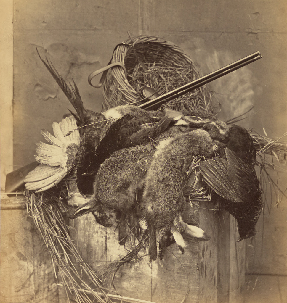 Roger Fenton:[Still Life with Game and Gun], Poster Print Wall Art