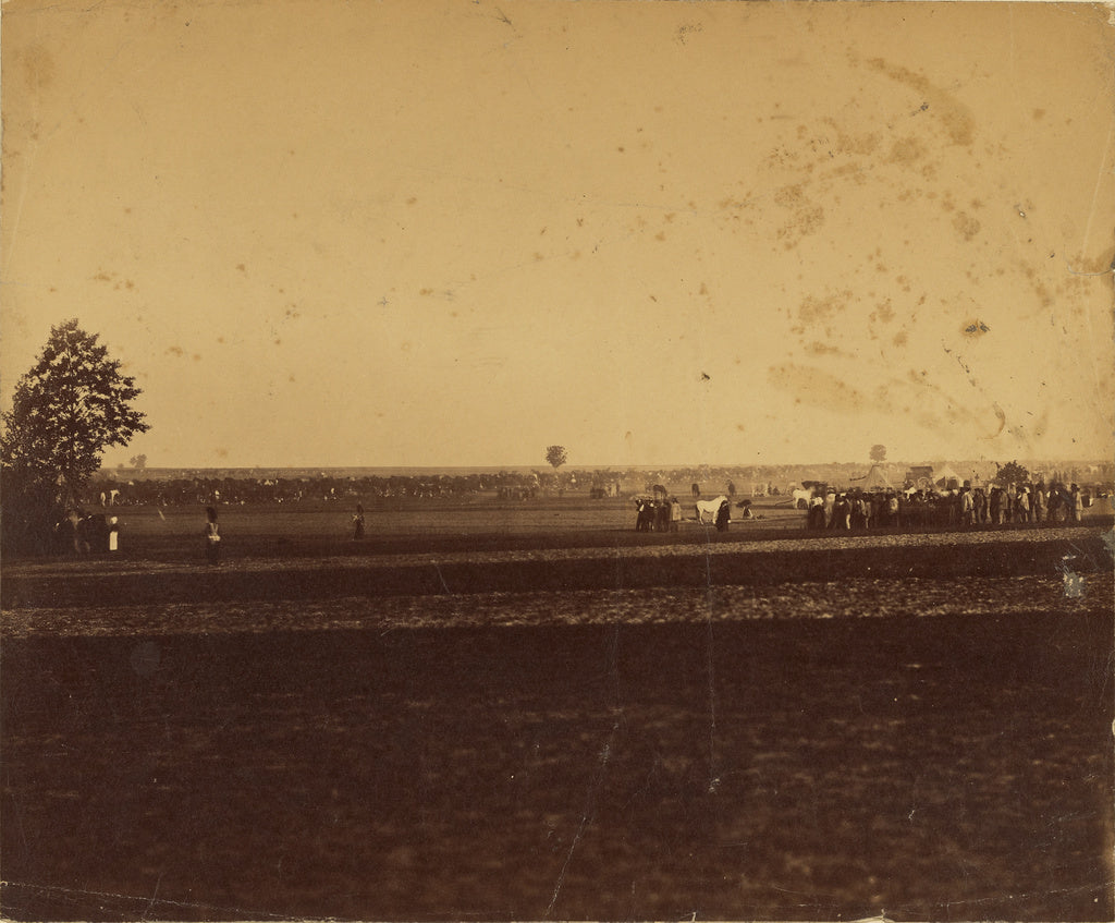 Gustave Le Gray:[Camp de Chalons], Poster Print Wall Art