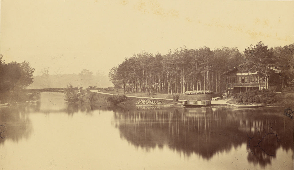 Charles Marville:[Bois de Boulogne, Paris], Poster Print Wall Art