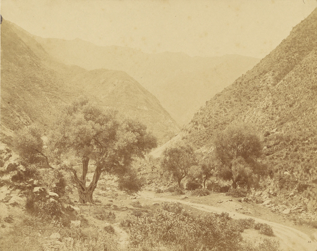 Charles Marville:[Vallée de l'Oued-el-Kabir, Algerie],16x12"(A3)Poster