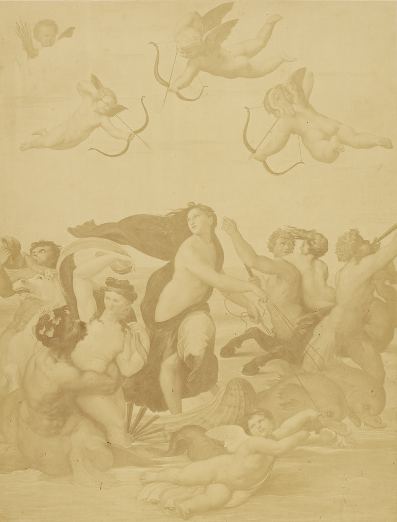 Charles Marville:[Reproduction of Galatea by Raphaël], Poster Print Wall Art