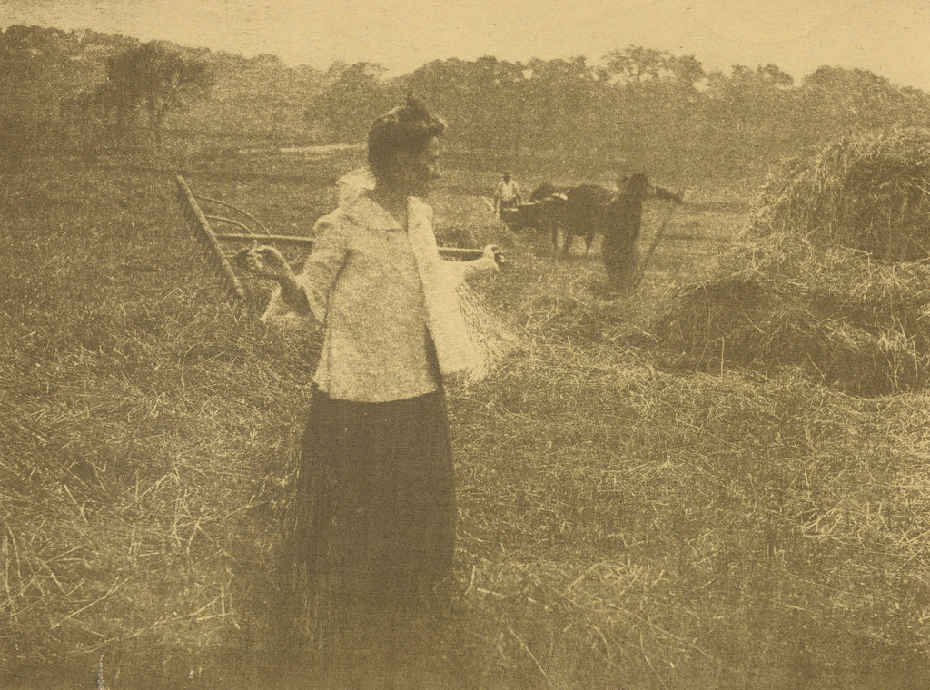 Gertrude Käsebier:[Gertrude O'Malley in Field with Rake], Poster Print Wall Art